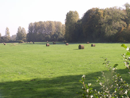 CPIE (63)