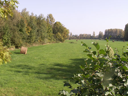 CPIE (64)